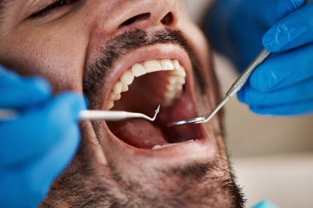 Best Preventive Dentistry  in Robbins, IL